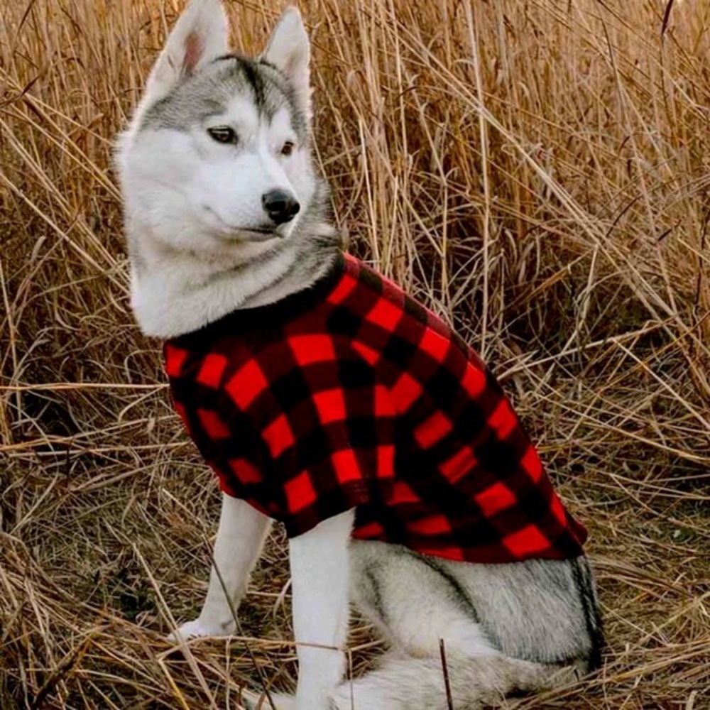 Plaid Dog Sweater - Red and Black